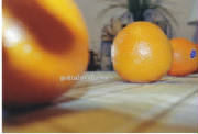 oranges_1.jpg
